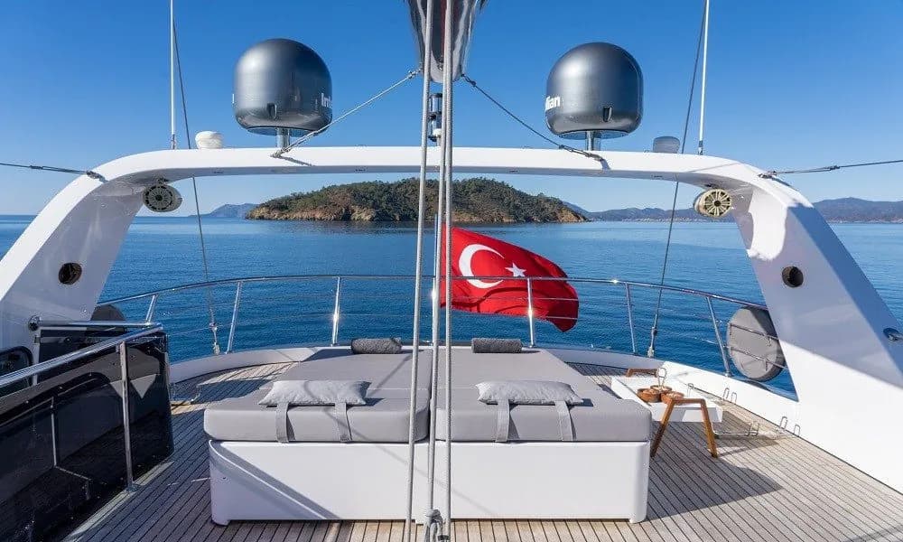 LİSA LNGİS
