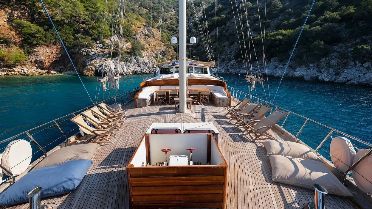 LİSA LS